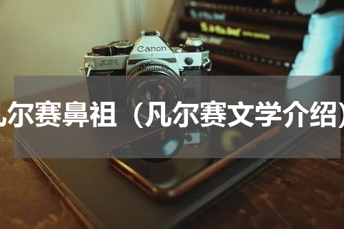 凡尔赛鼻祖（凡尔赛文学介绍）