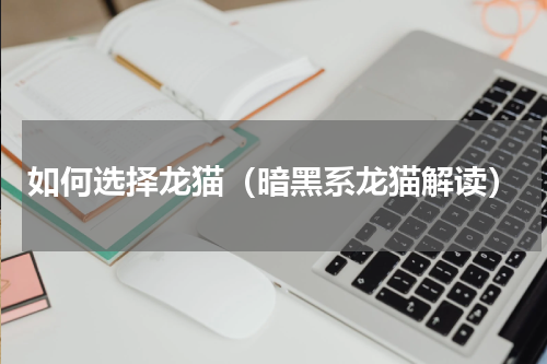 如何选择龙猫（暗黑系龙猫解读）