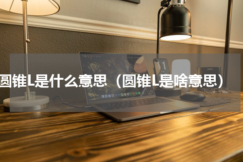 圆锥L是什么意思（圆锥L是啥意思）