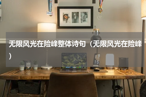 无限风光在险峰整体诗句（无限风光在险峰）