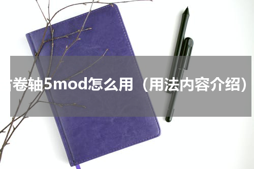上古卷轴5mod怎么用（用法内容介绍）