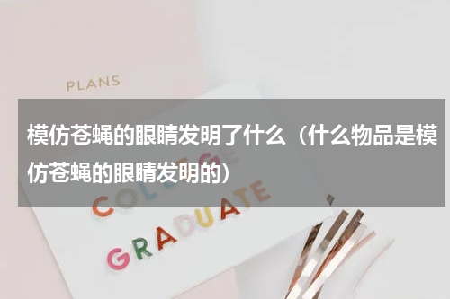 模仿苍蝇的眼睛发明了什么（什么物品是模仿苍蝇的眼睛发明的）