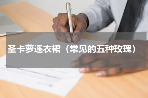 圣卡萝连衣裙（常见的五种玫瑰）