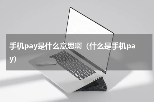 手机pay是什么意思啊（什么是手机pay）