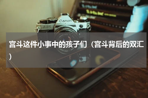 宫斗这件小事中的孩子们（宫斗背后的双汇）
