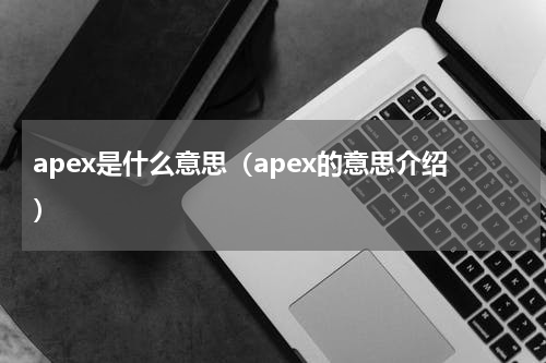 apex是什么意思（apex的意思介绍）