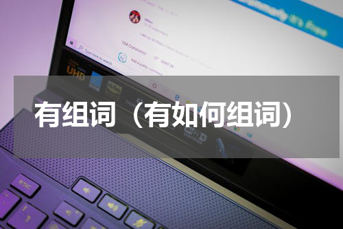 有组词（有如何组词）