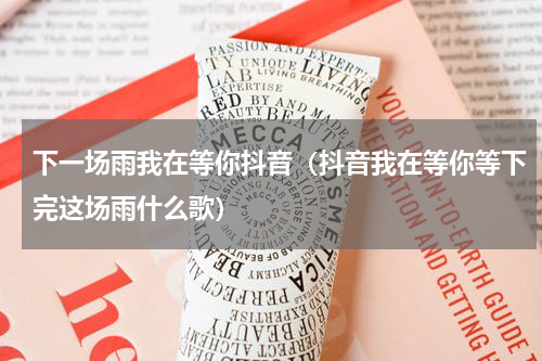 下一场雨我在等你抖音（抖音我在等你等下完这场雨什么歌）