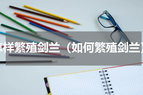 怎样繁殖剑兰（如何繁殖剑兰）