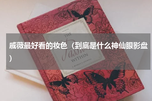 戚薇最好看的妆色（到底是什么神仙眼影盘）