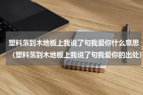 塑料落到木地板上我说了句我爱你什么意思（塑料落到木地板上我说了句我爱你的出处）