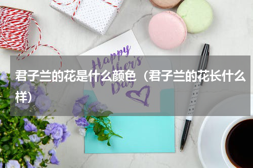 君子兰的花是什么颜色（君子兰的花长什么样）