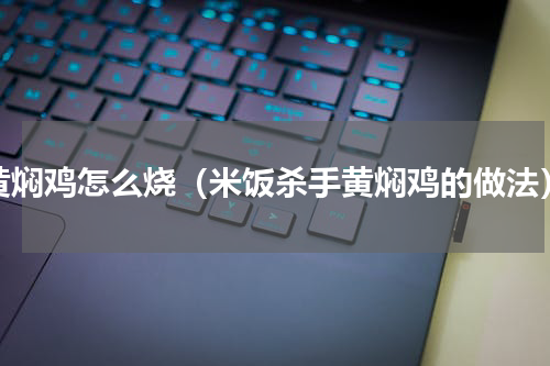 黄焖鸡怎么烧（米饭杀手黄焖鸡的做法）