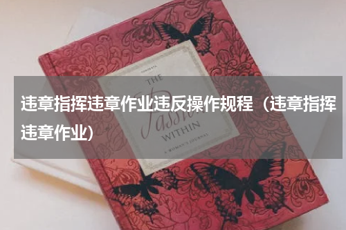 违章指挥违章作业违反操作规程（违章指挥违章作业）