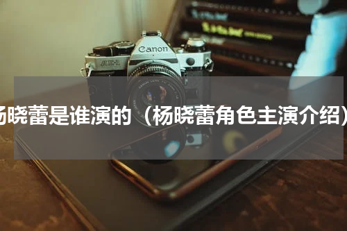 杨晓蕾是谁演的（杨晓蕾角色主演介绍）