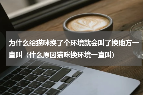 为什么给猫咪换了个环境就会叫了换地方一直叫（什么原因猫咪换环境一直叫）