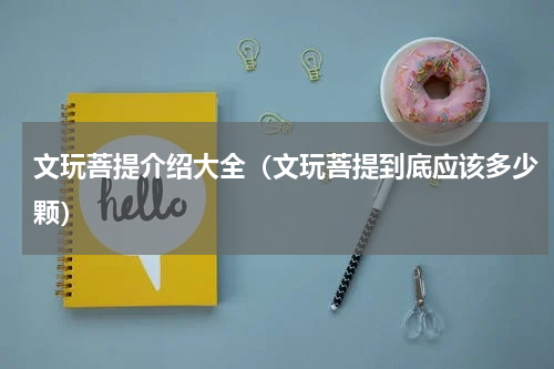 文玩菩提介绍大全（文玩菩提到底应该多少颗）