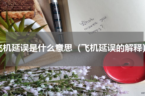 飞机延误是什么意思（飞机延误的解释）