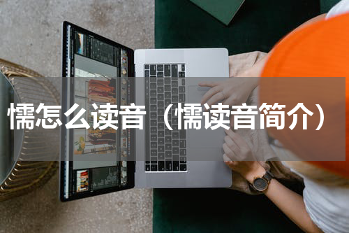 懦怎么读音（懦读音简介）