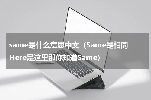 same是什么意思中文（Same是相同Here是这里那你知道Same）