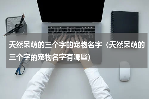 天然呆萌的三个字的宠物名字（天然呆萌的三个字的宠物名字有哪些）