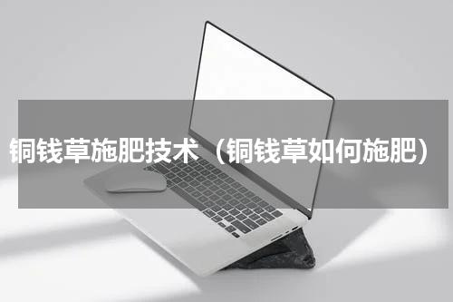 铜钱草施肥技术（铜钱草如何施肥）