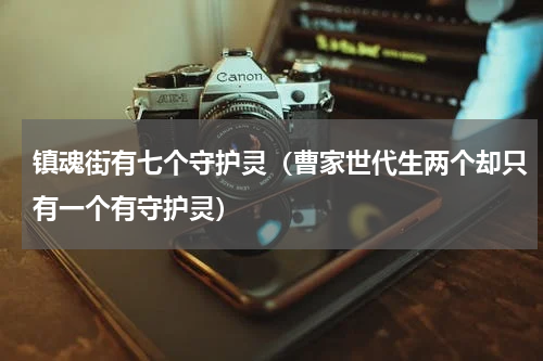 镇魂街有七个守护灵（曹家世代生两个却只有一个有守护灵）