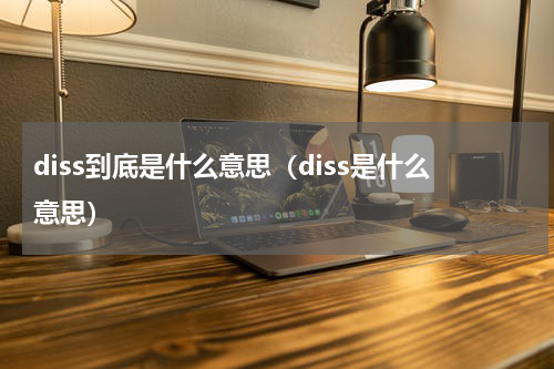 diss到底是什么意思（diss是什么意思）