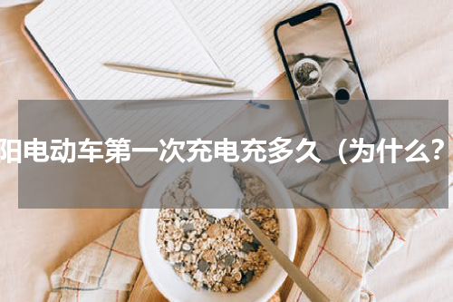 大阳电动车第一次充电充多久（为什么？）