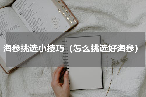 海参挑选小技巧（怎么挑选好海参）