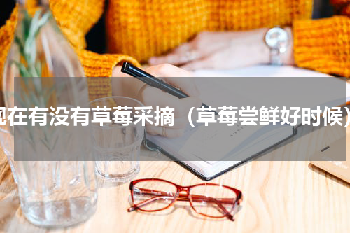 现在有没有草莓采摘（草莓尝鲜好时候）