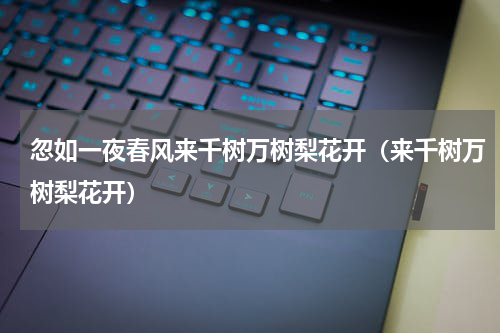 忽如一夜春风来千树万树梨花开（来千树万树梨花开）