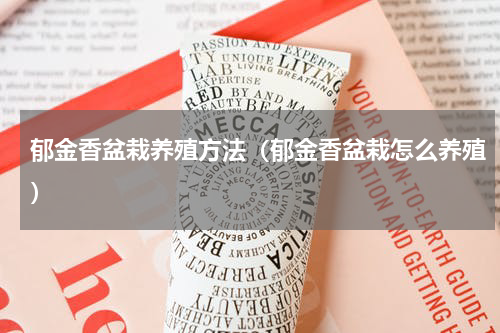 郁金香盆栽养殖方法（郁金香盆栽怎么养殖）