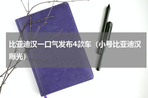 比亚迪汉一口气发布4款车（小号比亚迪汉曝光）