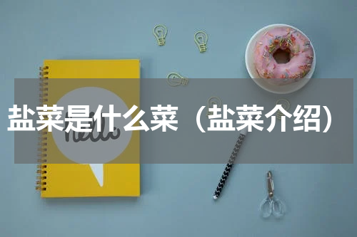 盐菜是什么菜（盐菜介绍）