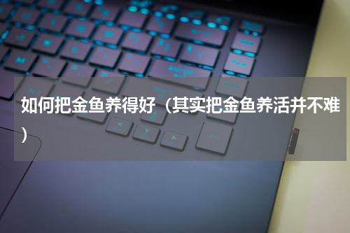如何把金鱼养得好（其实把金鱼养活并不难）