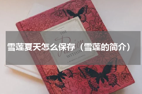 雪莲夏天怎么保存（雪莲的简介）