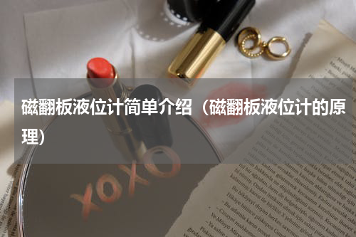 磁翻板液位计简单介绍（磁翻板液位计的原理）