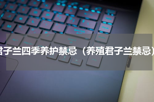 君子兰四季养护禁忌（养殖君子兰禁忌）
