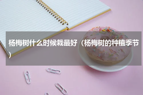 杨梅树什么时候栽最好（杨梅树的种植季节）