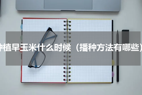 种植早玉米什么时候（播种方法有哪些）