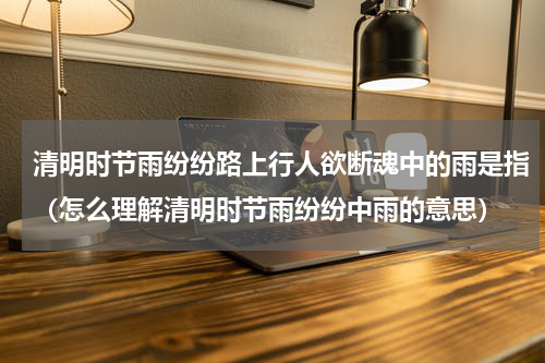 清明时节雨纷纷路上行人欲断魂中的雨是指（怎么理解清明时节雨纷纷中雨的意思）