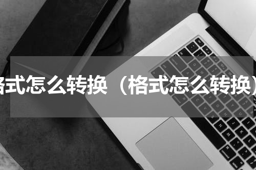 格式怎么转换（格式怎么转换）