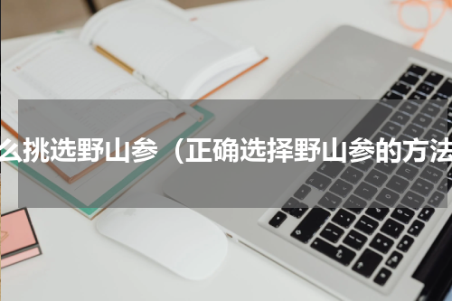 怎么挑选野山参（正确选择野山参的方法）