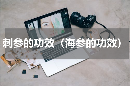 刺参的功效（海参的功效）
