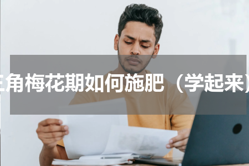 三角梅花期如何施肥（学起来）