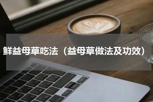 鲜益母草吃法（益母草做法及功效）