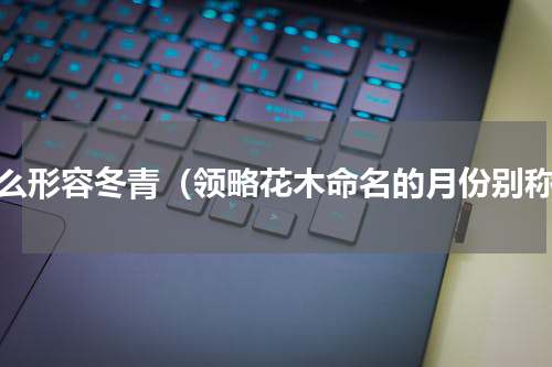 怎么形容冬青（领略花木命名的月份别称）