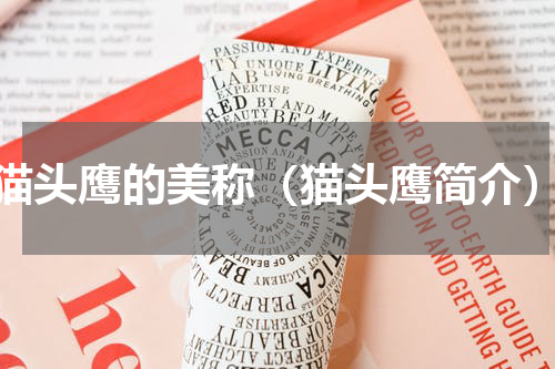 猫头鹰的美称（猫头鹰简介）