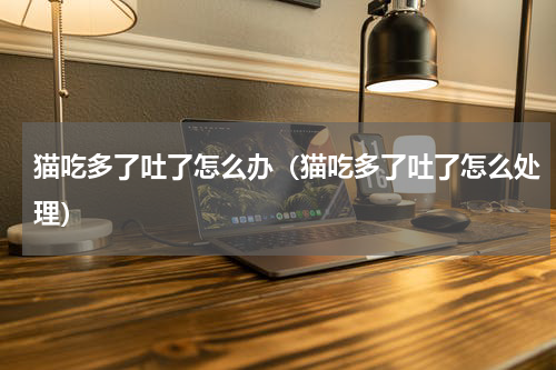 猫吃多了吐了怎么办（猫吃多了吐了怎么处理）